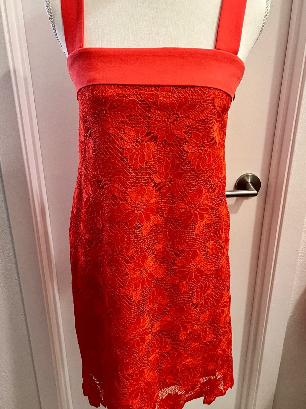 Banana Republic Vibrant Red Floral Lace Mini Dress